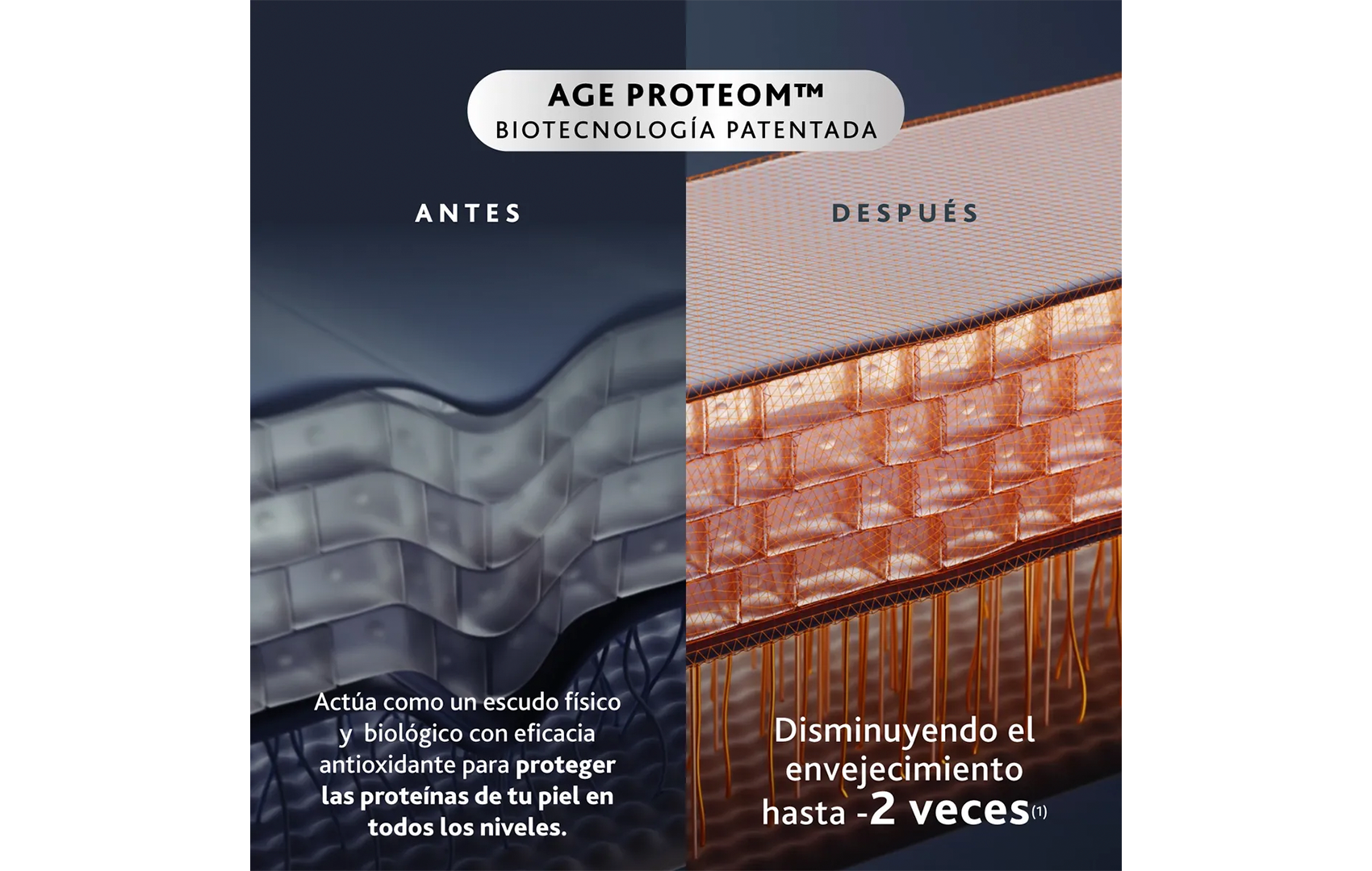 Esthederm Proteom Suero Antiedad Avanzado Para Ojos 15ML Para Todo Tipo de Piel